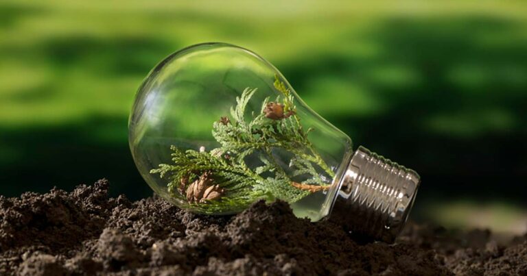 Kokios yra svarbiausios tvarumo tendencijos 2024 metais?